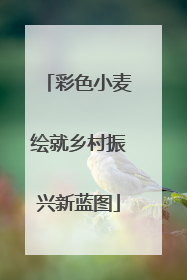 彩色小麦绘就乡村振兴新蓝图
