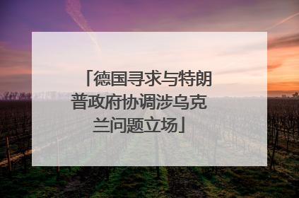 德国寻求与特朗普政府协调涉乌克兰问题立场