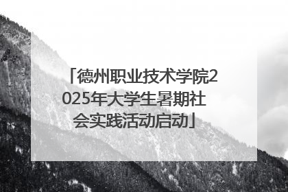 德州职业技术学院2025年大学生暑期社会实践活动启动