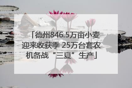德州846.5万亩小麦迎来收获季 25万台套农机备战“三夏”生产