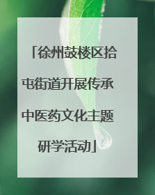 徐州鼓楼区拾屯街道开展传承中医药文化主题研学活动