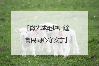 微光成炬护归途 警民同心守安宁