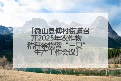 微山县傅村街道召开2025年农作物秸秆禁烧暨“三夏”生产工作会议