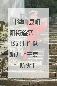 微山县昭阳街道第一书记工作队助力“三夏”防火