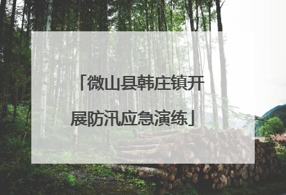 微山县韩庄镇开展防汛应急演练