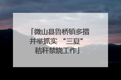 微山县鲁桥镇多措并举抓实 “三夏” 秸秆禁烧工作