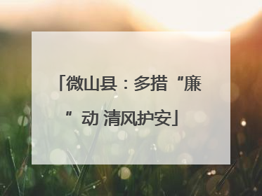 微山县：多措“廉”动 清风护安