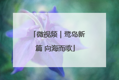 微视频｜鹭岛新篇 向海而歌