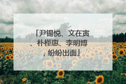 尹锡悦、文在寅、朴槿惠、李明博，纷纷出面