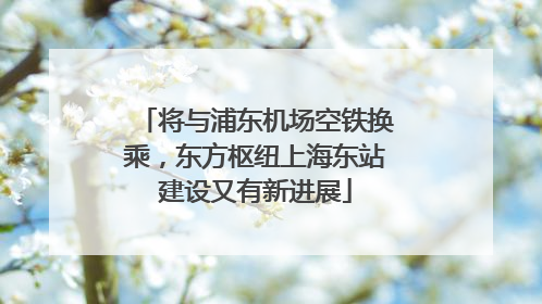 将与浦东机场空铁换乘，东方枢纽上海东站建设又有新进展