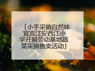 小手采摘自然味 宜宾江安西江小学开展劳动基地蔬菜采摘售卖活动