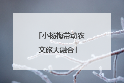 小杨梅带动农文旅大融合
