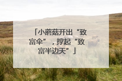 小蘑菇开出“致富伞”，撑起“致富半边天”