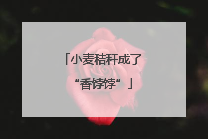 小麦秸秆成了“香饽饽”
