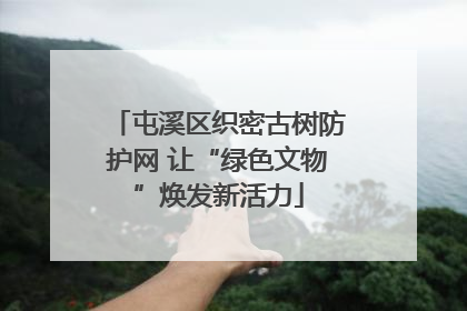 屯溪区织密古树防护网 让“绿色文物”焕发新活力