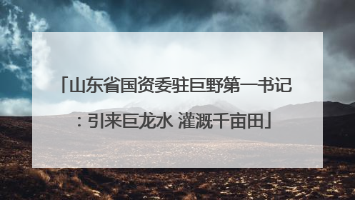 山东省国资委驻巨野第一书记：引来巨龙水 灌溉千亩田