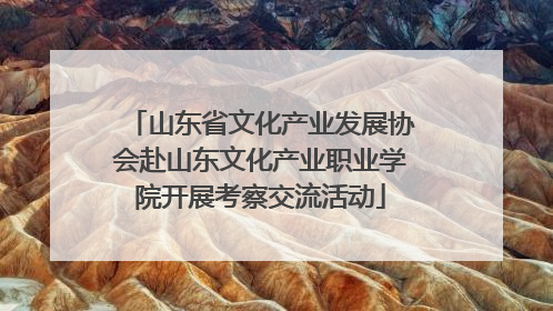 山东省文化产业发展协会赴山东文化产业职业学院开展考察交流活动