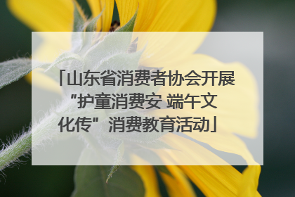 山东省消费者协会开展 “护童消费安 端午文化传”消费教育活动