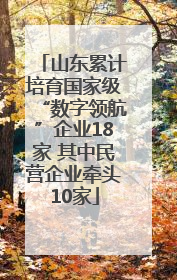山东累计培育国家级“数字领航”企业18家 其中民营企业牵头10家