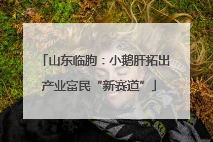 山东临朐：小鹅肝拓出产业富民“新赛道”