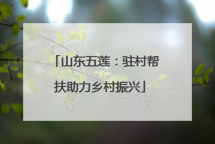 山东五莲：驻村帮扶助力乡村振兴