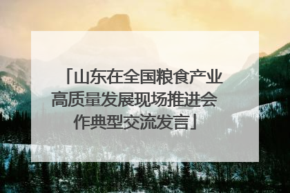 山东在全国粮食产业高质量发展现场推进会作典型交流发言