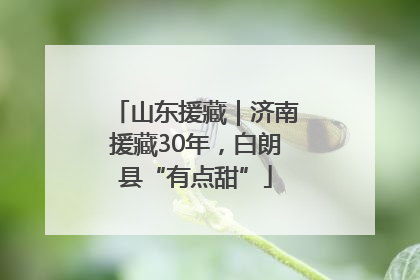 山东援藏｜济南援藏30年，白朗县“有点甜”