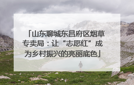 山东聊城东昌府区烟草专卖局：让“志愿红”成为乡村振兴的亮丽底色