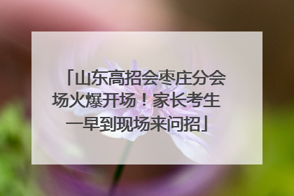 山东高招会枣庄分会场火爆开场！家长考生一早到现场来问招