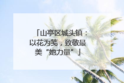 山亭区城头镇：以花为笺，致敬最美“她力量”