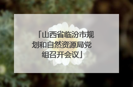 山西省临汾市规划和自然资源局党组召开会议