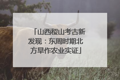 山西稷山考古新发现：东周时期北方旱作农业实证