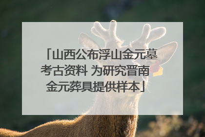 山西公布浮山金元墓考古资料 为研究晋南金元葬具提供样本
