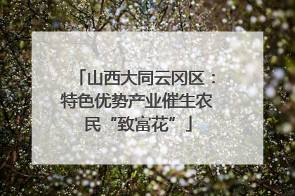 山西大同云冈区：特色优势产业催生农民“致富花”