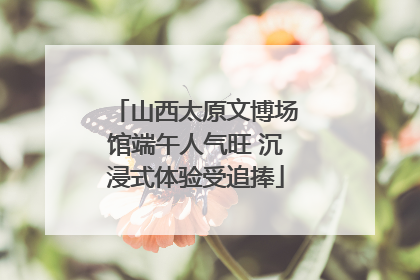 山西太原文博场馆端午人气旺 沉浸式体验受追捧
