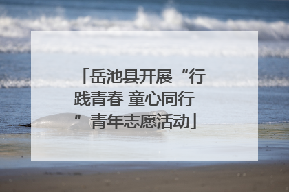 岳池县开展“行践青春 童心同行”青年志愿活动