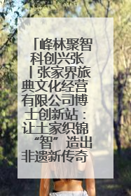 峰林聚智 科创兴张丨张家界旅典文化经营有限公司博士创新站：让土家织锦“智”造出非遗新传奇