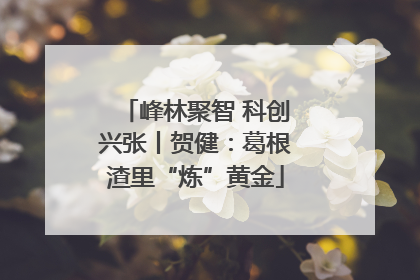 峰林聚智 科创兴张丨贺健：葛根渣里“炼”黄金