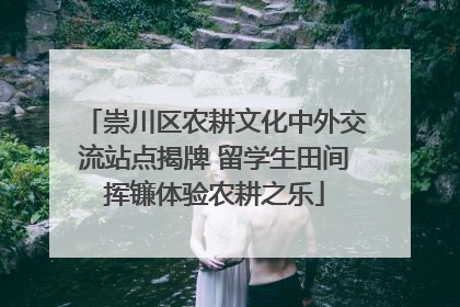 崇川区农耕文化中外交流站点揭牌 留学生田间挥镰体验农耕之乐