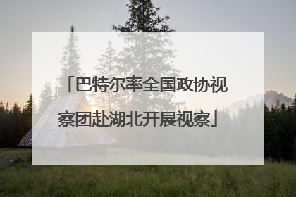 巴特尔率全国政协视察团赴湖北开展视察