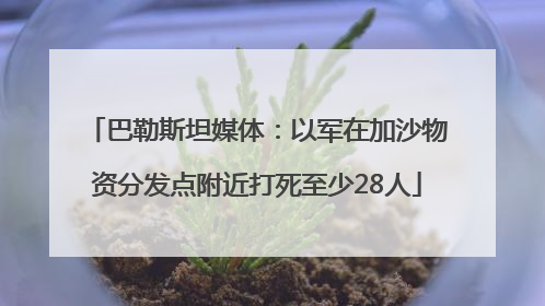 巴勒斯坦媒体：以军在加沙物资分发点附近打死至少28人