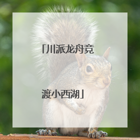 川派龙舟竞渡小西湖
