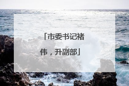 市委书记褚伟，升副部