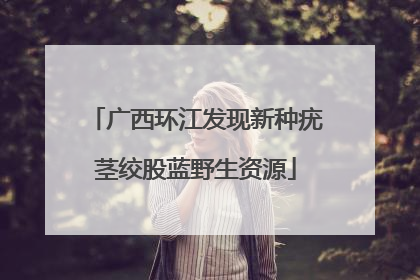 广西环江发现新种疣茎绞股蓝野生资源