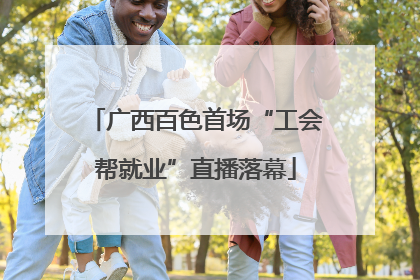 广西百色首场“工会帮就业”直播落幕