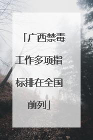 广西禁毒工作多项指标排在全国前列