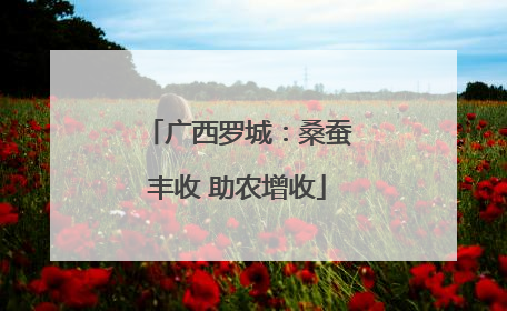 广西罗城：桑蚕丰收 助农增收