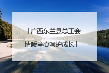 广西东兰县总工会情暖童心呵护成长
