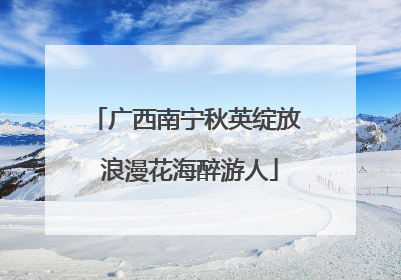 广西南宁秋英绽放 浪漫花海醉游人