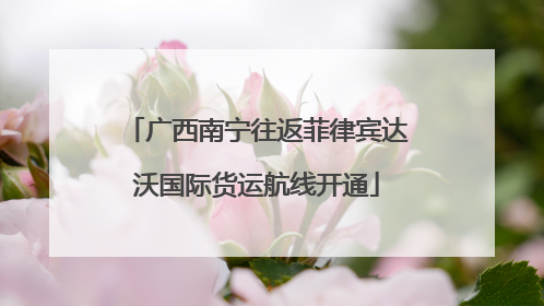 广西南宁往返菲律宾达沃国际货运航线开通